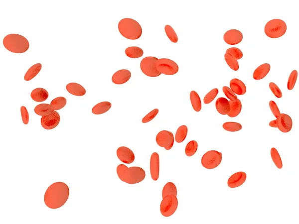 Red blood cells erythrocytes in interior of arterial or capillary blood vessel. — Stock Photo, Image