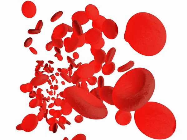 Red blood cells erythrocytes in interior of arterial or capillary blood vessel. — Stock Photo, Image