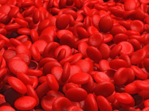 Red blood cells erythrocytes in interior of arterial or capillary blood vessel. — Stock Photo, Image