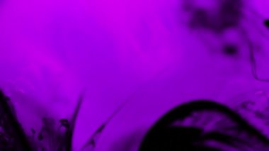 Siyah mürekkep ve fuşya su. 