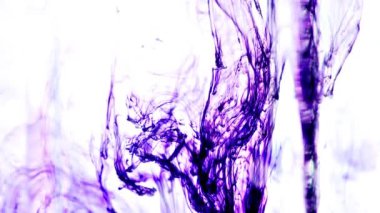  Suda koyu mor bağlantı.