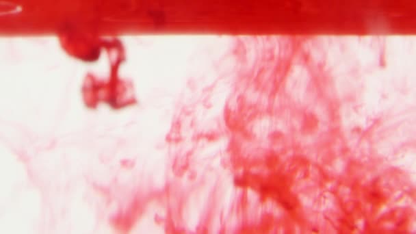 Red ink in water. — Stock Video