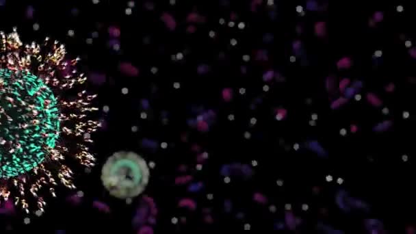 Virus au microscope .