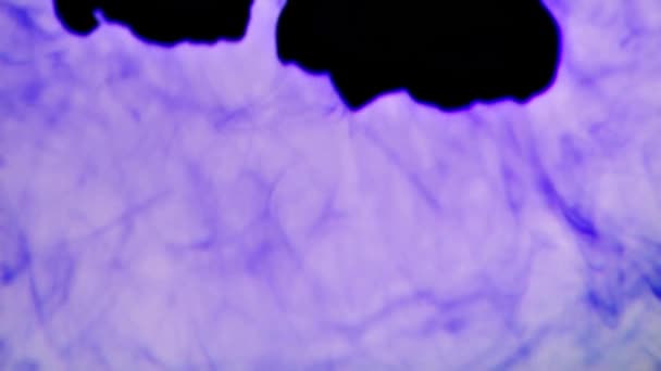 Encres noires et violettes se répandant dans l'eau . 