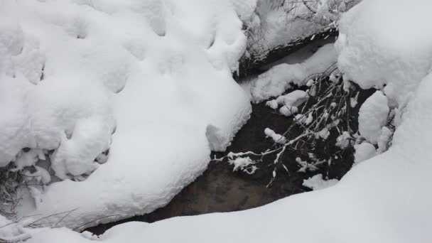 Маленький ручей в зимнем лесу — стоковое видео