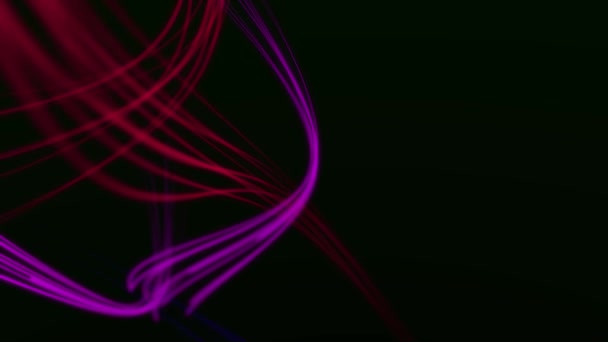 Crimson red, fuchsia and blue glowing curves smoothly circulate on a black background. — Stock Video