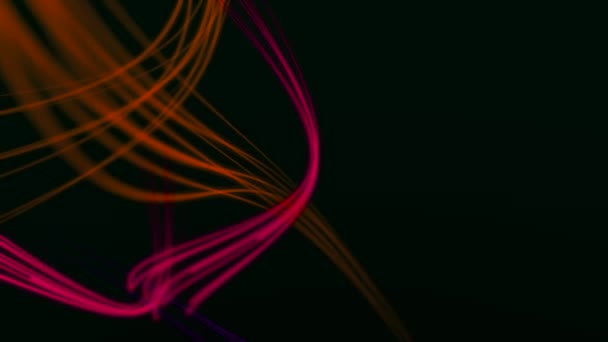 Orange red, purple and crimson glowing curves smoothly circulate on a black background. — Stock Video