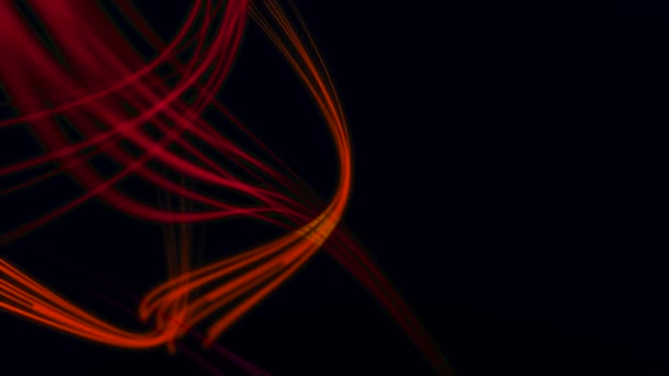 Red, orange and fuchsia glowing curves smoothly circulate on a black background. — Stock Video