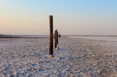 Ahşap sütunlar ve tuz bir kabuk yüzeyi çöl