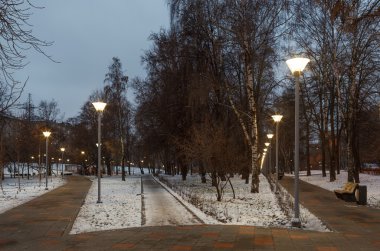 Akşam aydınlatma kış kentsel Park.