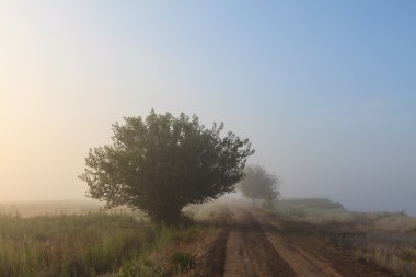 Misty dawn sabah erken doğa otlak manzara Rus countrysid görünümünde