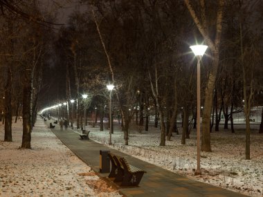 Kışın kentsel akşam aydınlatma. 