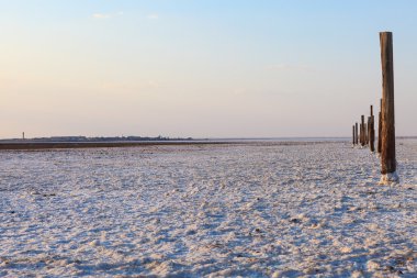 Ahşap sütunlar ve tuz bir kabuk çöl ve yalnız dağ yüzeyi.