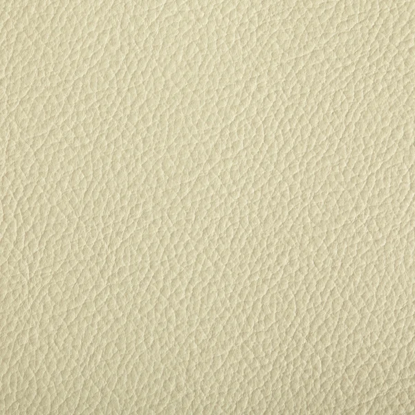 Antiek wit leacher textuur. — Stockfoto