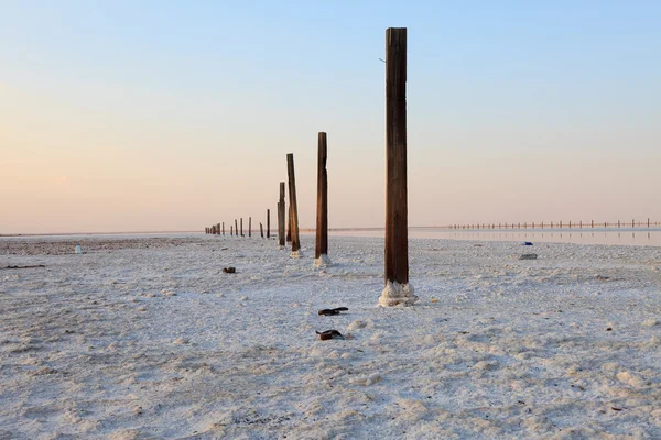 Pilastri di legno e una crosta di sale sulla superficie del deserto — Foto Stock