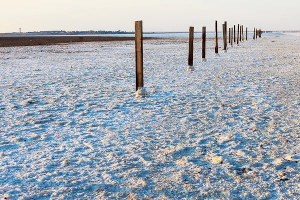 Pilastri di legno e una crosta di sale sulla superficie del deserto e della montagna solitaria . — Foto Stock