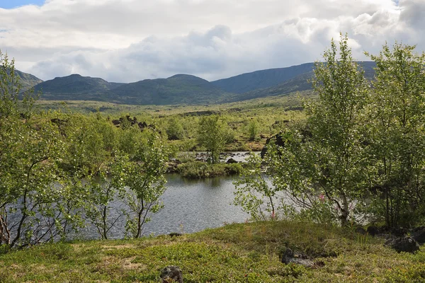 Mountain lake in landscape of polar region. — Stock Photo, Image