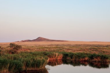 Oasis. Sazlık ve otlaklar peyzaj