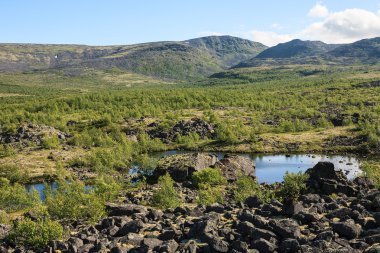 Peyzaj kutup bölgesinin dağ gölü. 