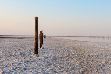 Ahşap sütunlar ve tuz bir kabuk yüzeyi çöl