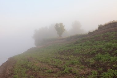  Misty dawn sabah erken doğa otlak manzara
