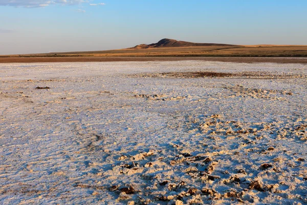 Crosta di sale sulla superficie del deserto — Foto Stock