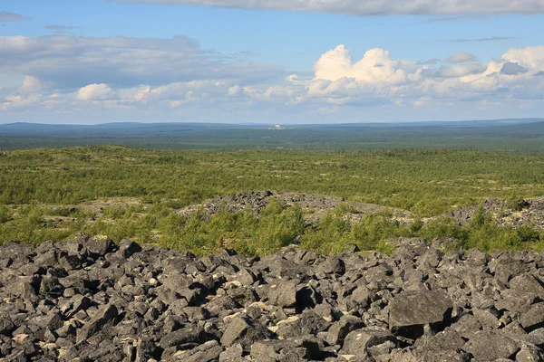 Grenzenlose Tundra. Sommer-Berglandschaft der Polarregion. — Stockfoto