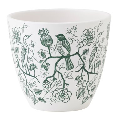 Bitki pot üzerinde beyaz izole. 