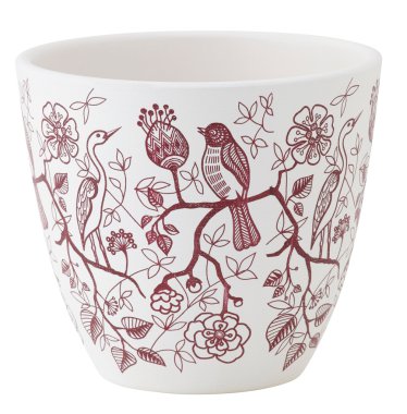 Bitki pot üzerinde beyaz izole. 