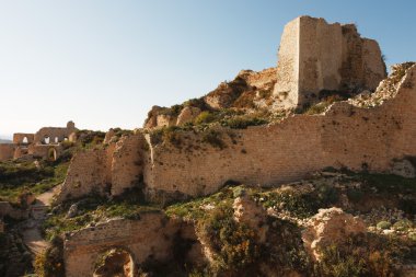 Kalenin Salah Ed-Din.