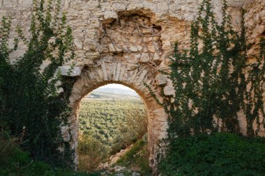 Kalenin Salah Ed-Din.