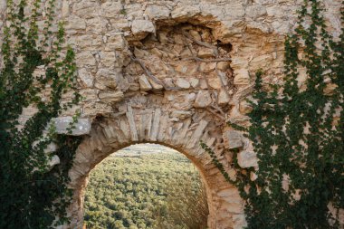 Kalenin Salah Ed-Din.