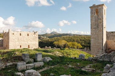 Kalenin Salah Ed-Din.