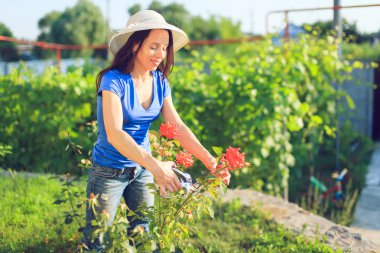 Ona çiçek bahçe bakımı mutlu olgun kadın.