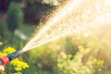 Hortumla Bahçe kavramı sulama