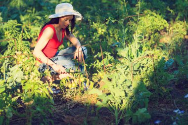 mutlu kadın bahçede çalışan.