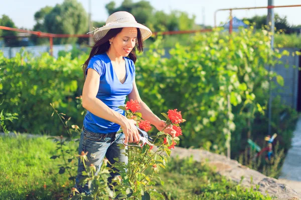 Mujer madura feliz cuidando de sus flores en el jardín . — Foto de Stock