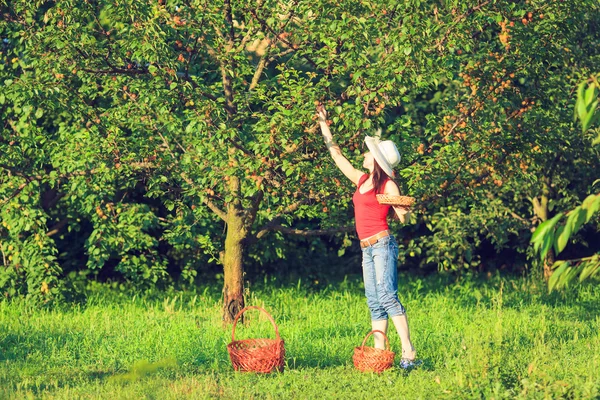 Szczęśliwa pani pracy w ogrodzie. — Zdjęcie stockowe