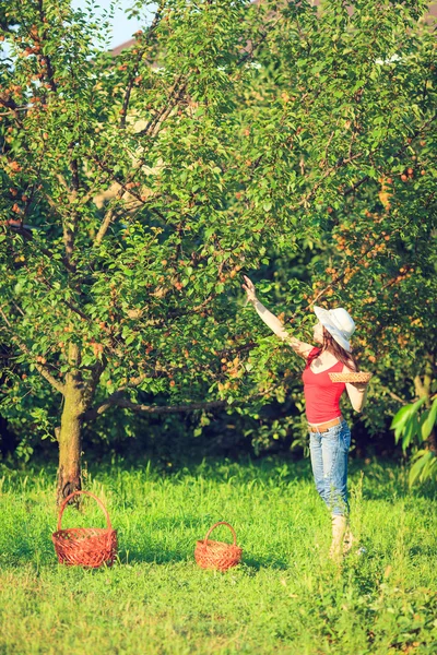 Gelukkige Dame werken in de tuin. — Stockfoto