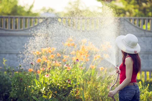 Bewässerung mit Schlauch, Gartenkonzept — Stockfoto