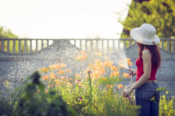 Bewässerung mit Schlauch, Gartenkonzept — Stockfoto