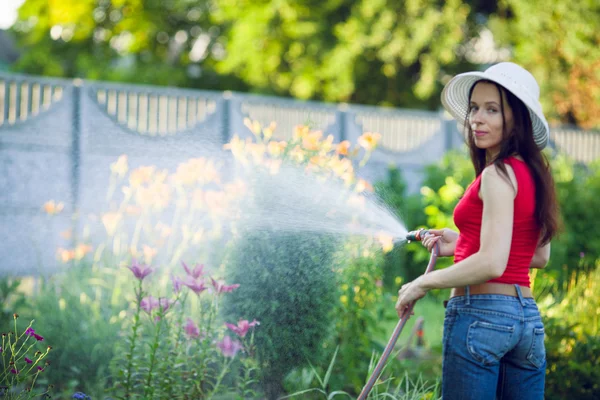 Watering  with a hose,  gardening concept — Stock Photo, Image
