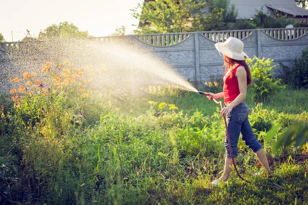 Hortumla Bahçe kavramı sulama — Stok fotoğraf