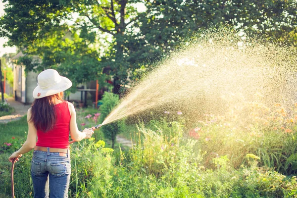 Arrosage avec un tuyau, concept de jardinage — Photo