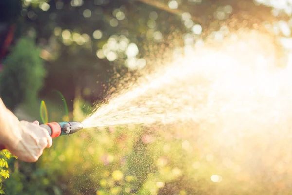 Riego con manguera, concepto de jardinería — Foto de Stock