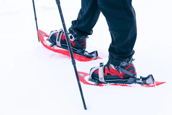 Caminhadas de inverno nas montanhas em sapatos de neve — Fotografia de Stock