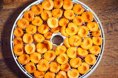 Organik Kuru Kayısı Dehydrator ile yaptı. Seçici odak.