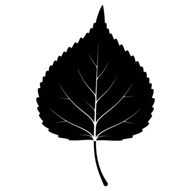 İzole edilmiş Siyah Yaprak Silueti, Asgari Yaprak Çizimi, Basit Yaprak Grafiği