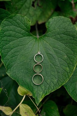 Büyük yeşil bir yaprağa dizilmiş üç yüzük, doğayı ve aşkı simgeliyor..