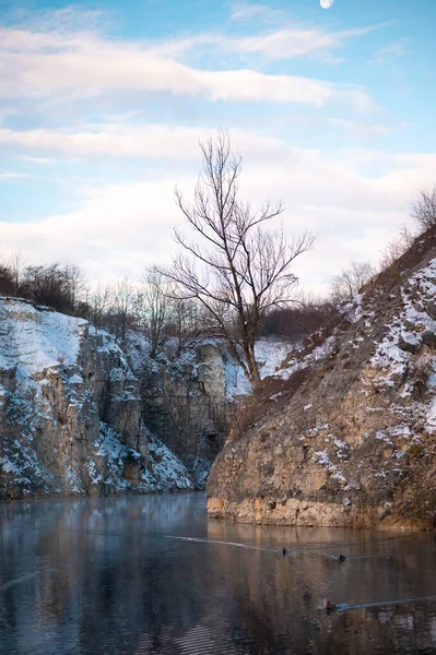 Kış manzarası çıplak bir ağaçla kayalık bir uçurum ve sakin bir su..